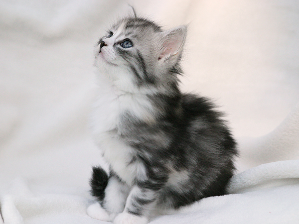 Amber_270512_01 (2).jpg